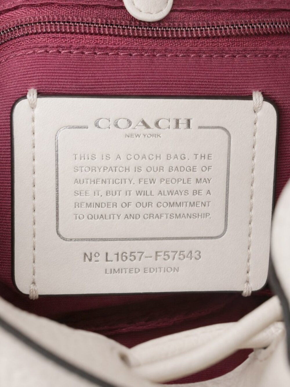 Coach Blossom Petal Bucket Bag Chalk Pebble Leather Floral Limited Edition w/ Du - Picture 13 of 14